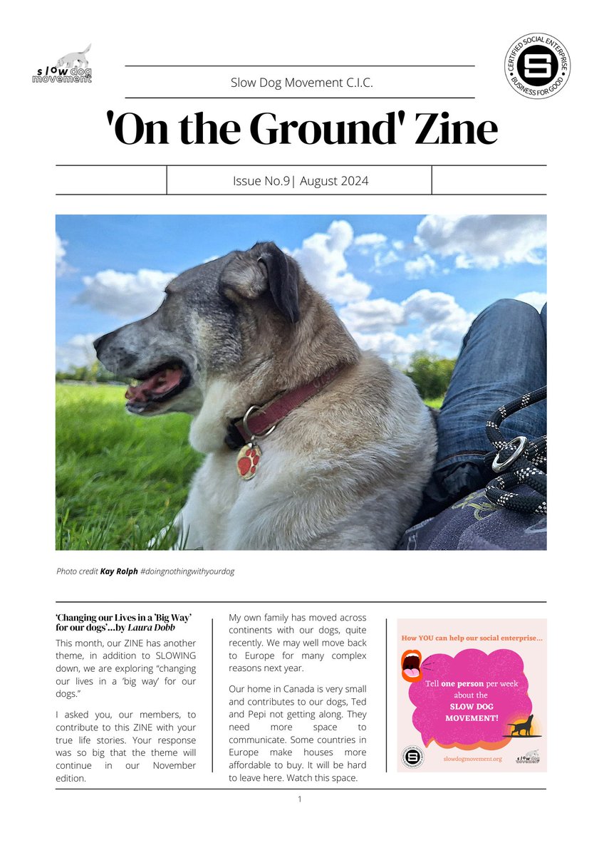 slowdogmovement's tweet photo. Buy 'On the Ground' ZINE Edition No.9 August 2024 on @Gumroad https://t.co/nBFFcjU1E7 https://t.co/fUsW6VeaMe