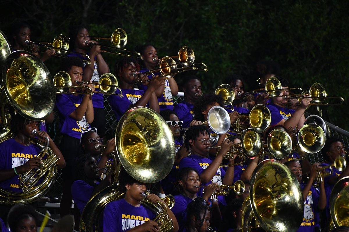 Marlin Secondary tweet media