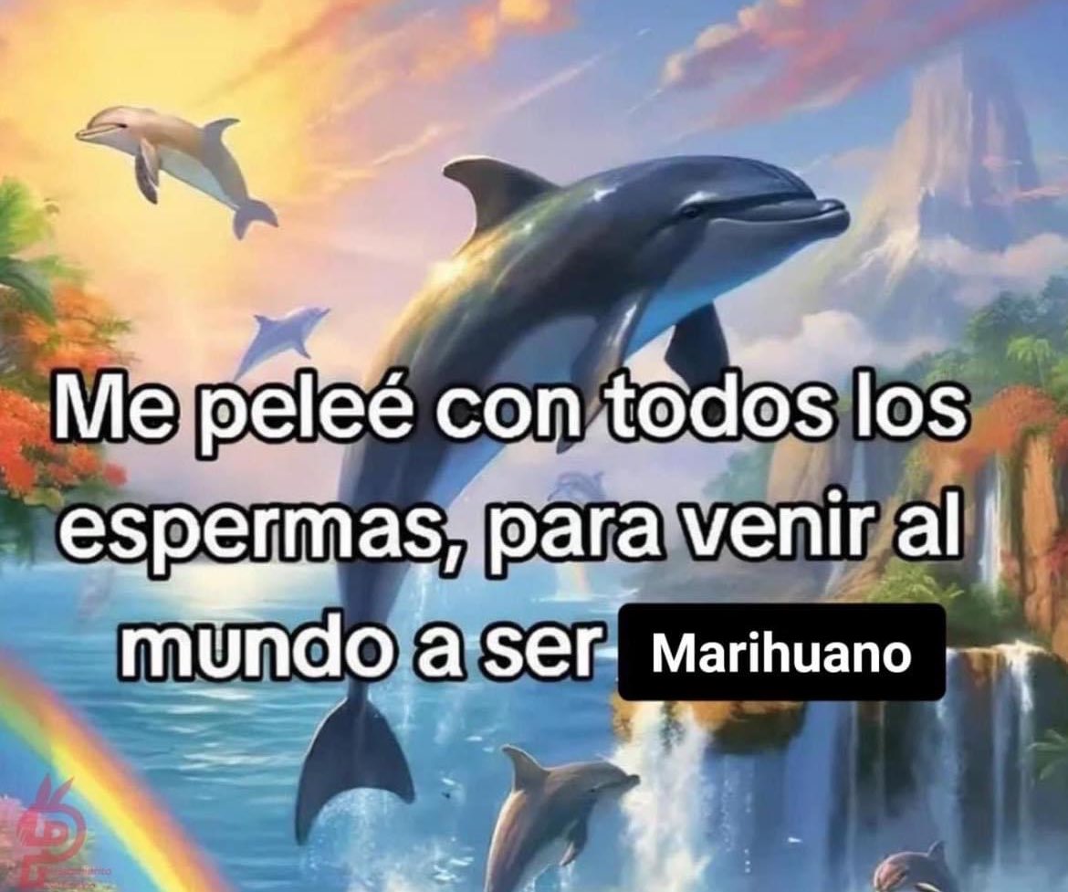 Angel Artesano ॐ (@angeel_artesano) on Twitter photo 