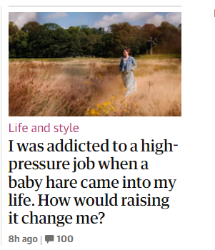 Grauniad manfully (personfully?) resists using "Hare-raising experience" in headline.