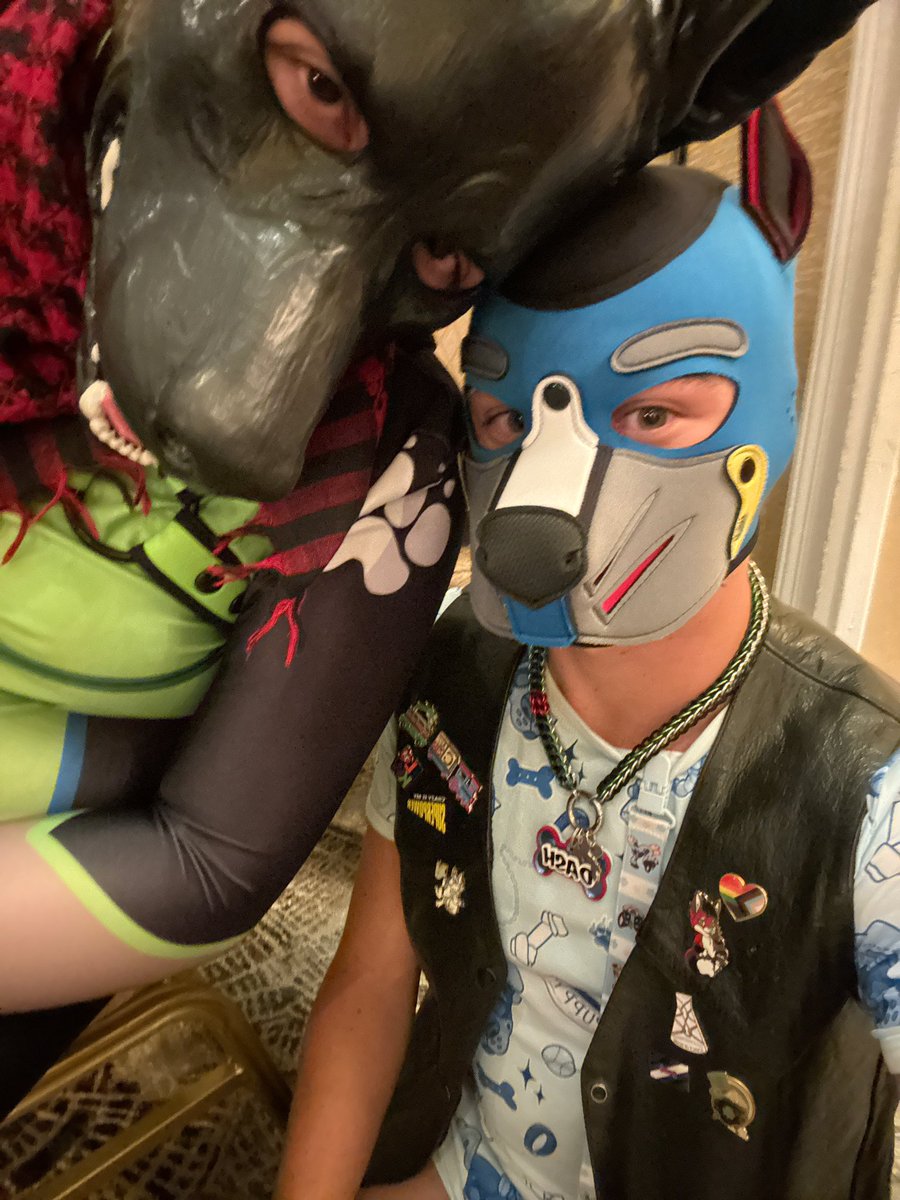 pupper_dash's tweet image. Cute outfit check ft. @latexneo