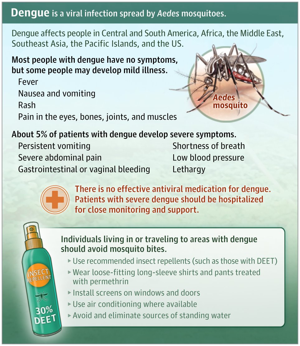 Dengue is a viral infection spread to humans by mosquitoes of the Aedes genus. This JAMA Patient Page describes the viral infection dengue and its signs and symptoms, diagnosis, treatment, and prevention measures. ja.ma/4dWoV19