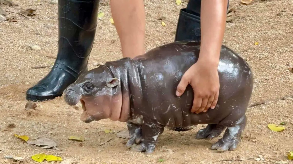 Me: “can you read my draft? be as tough as you like”

You: “I think you should…”

Me: