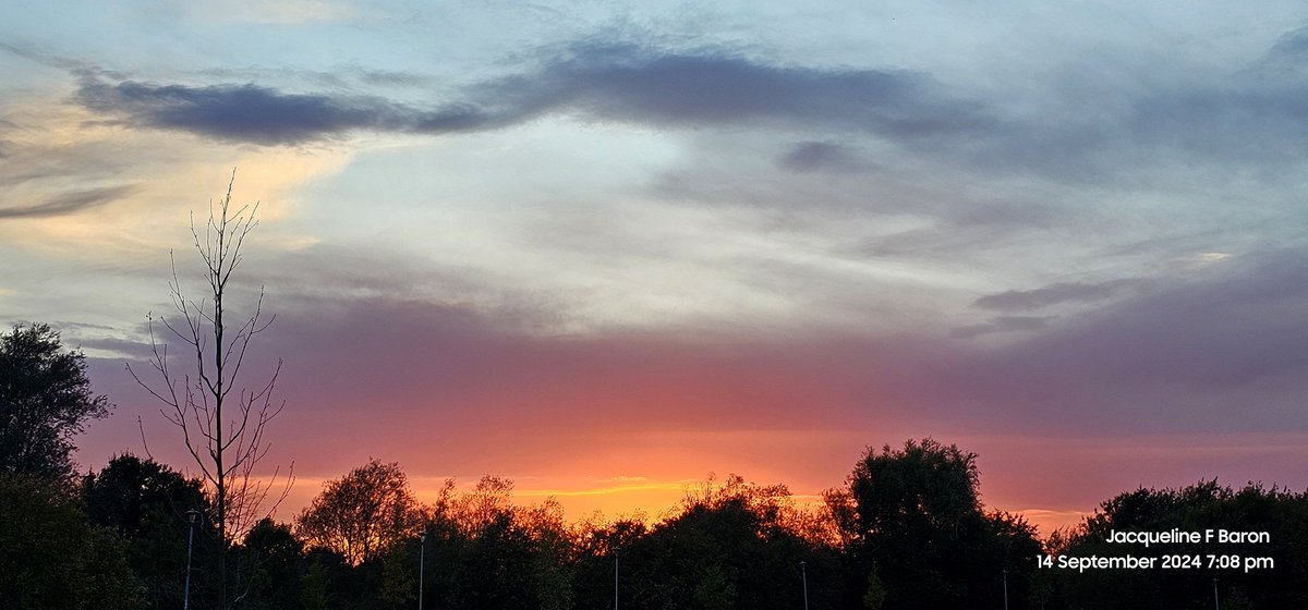 Jacqueline F Baron tweet media