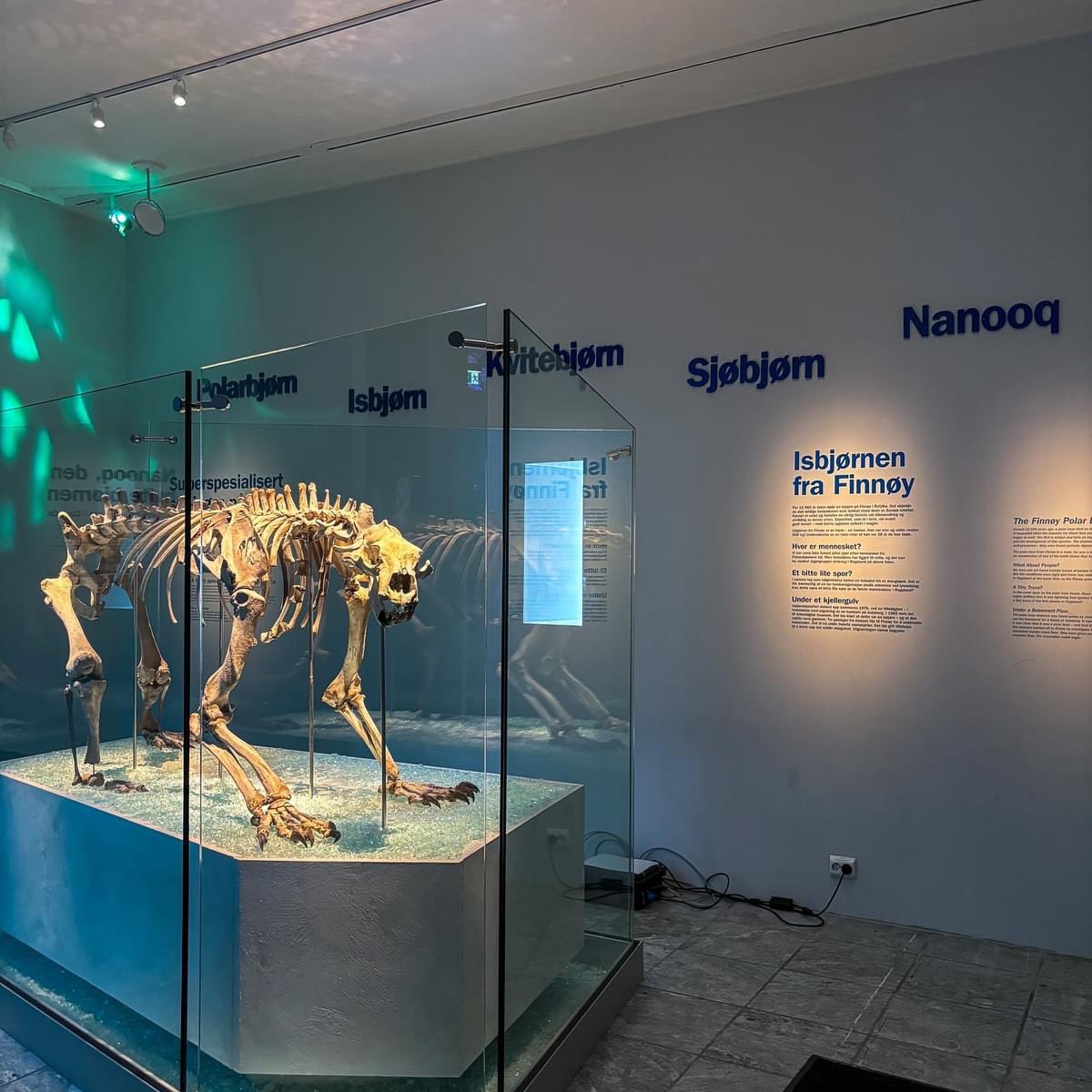 ArkmuseumUiS's tweet image. Vi har åpnet dørene igjen 🎉

The museum is now open again 🎉

uis.no/nb/arkeologisk…

#museum #stavanger #kulturarv #culturalheritage