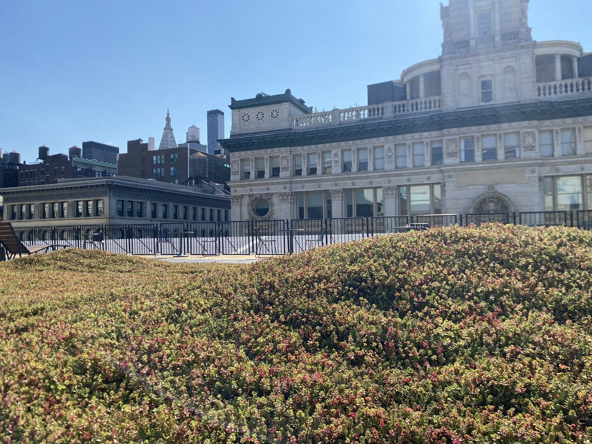 PLANT Group tweet media