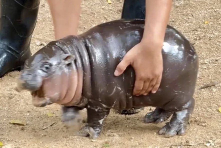 them: I’m a hugger
me: