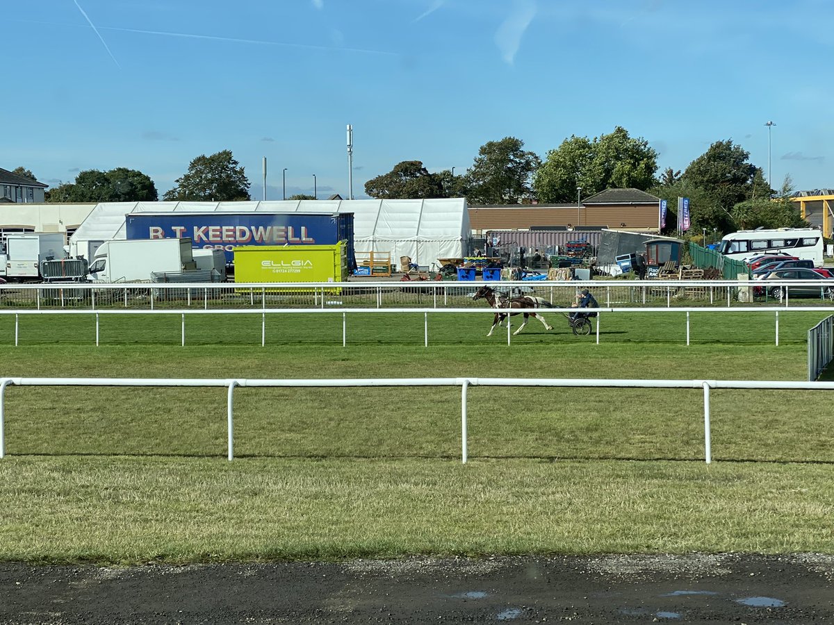 TransMed Training tweet media