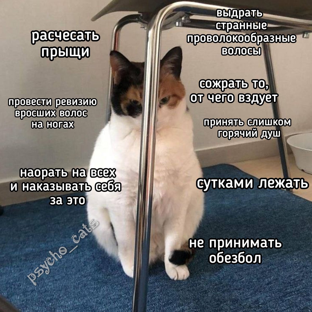 Я: я давно не использую селфхарм 
Так же я 24/7: