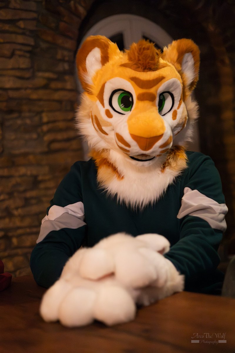 the look i will give you while i am waiting for a pizza or a hug or whatever! i am waiting! give me something!

🪡 <a href="/WildDogWorks/">WildDogWorks.com on 🦋</a> 
📸 <a href="/Arcothewolf/">Arco</a>