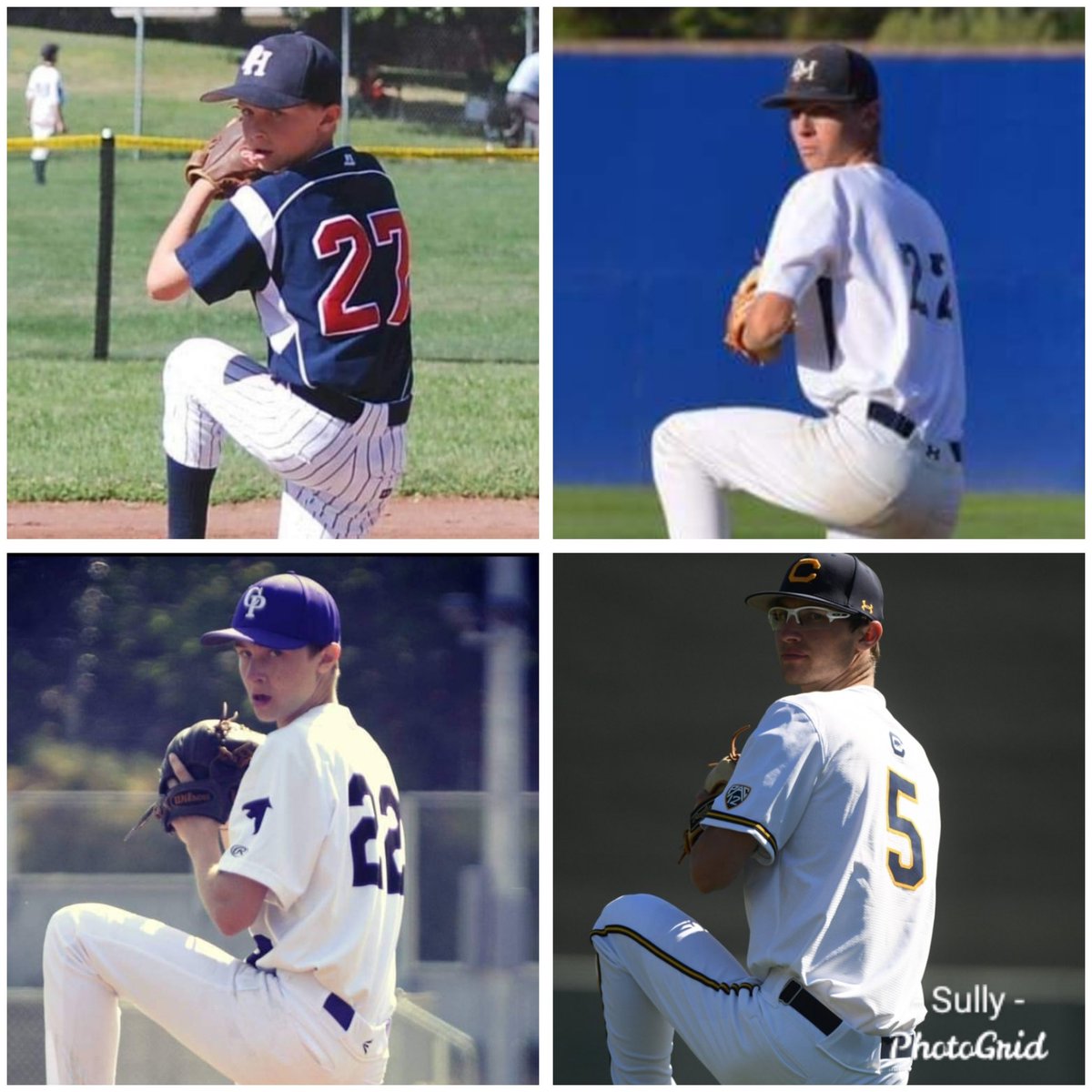 Dale Freeman tweet media