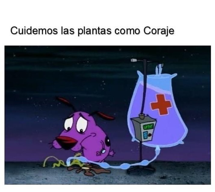 EnsedeCiencia's tweet photo. https://t.co/D7btPZH9FZ