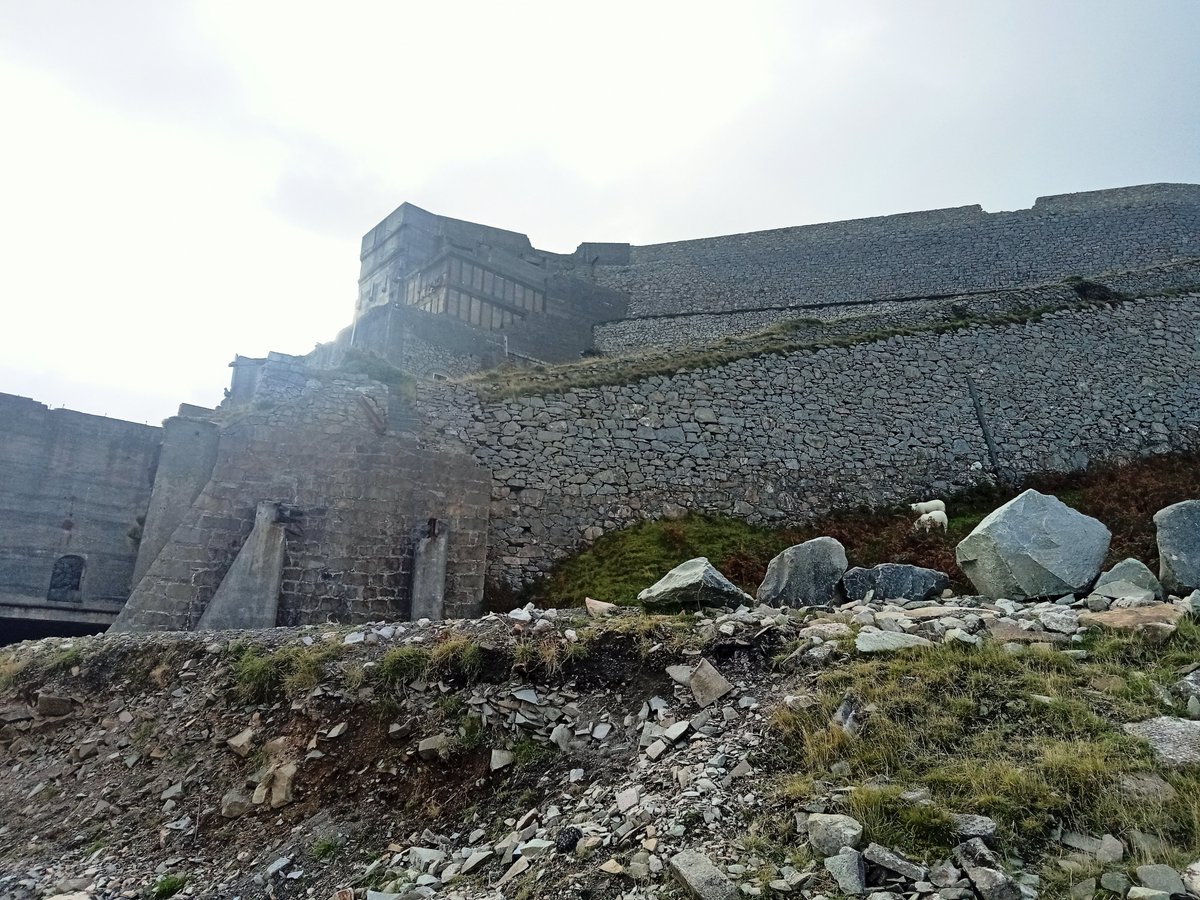 GameOfThrones_Traveller tweet media