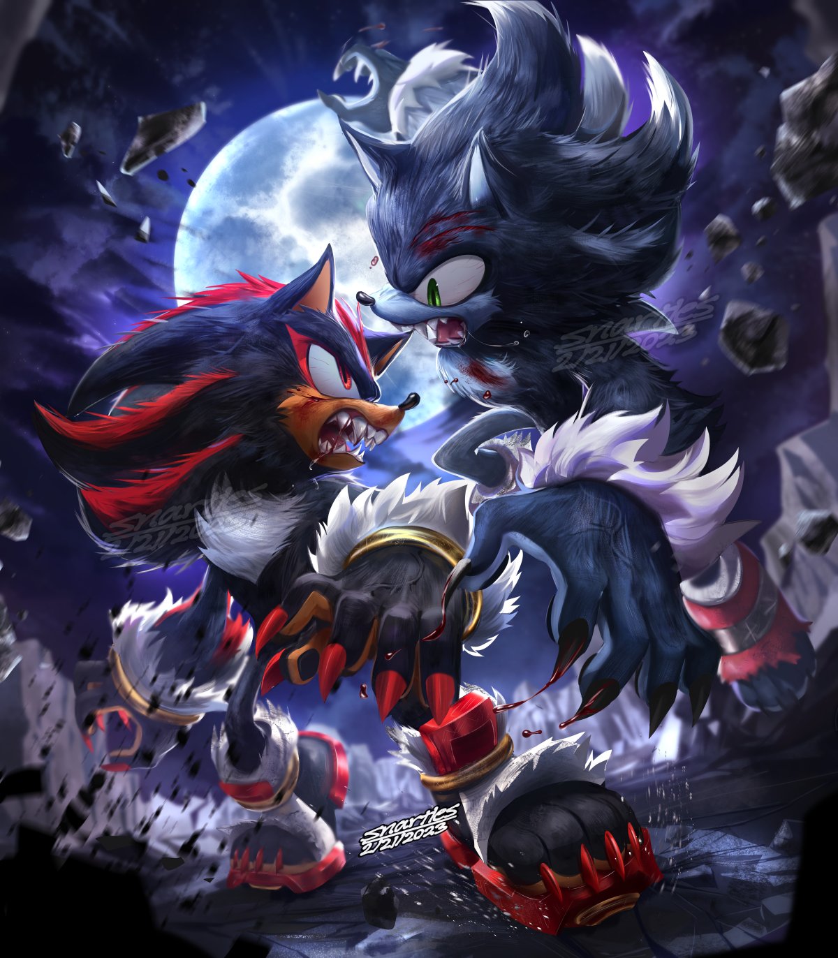 Sonic The Werehog And Shadow The Werehog