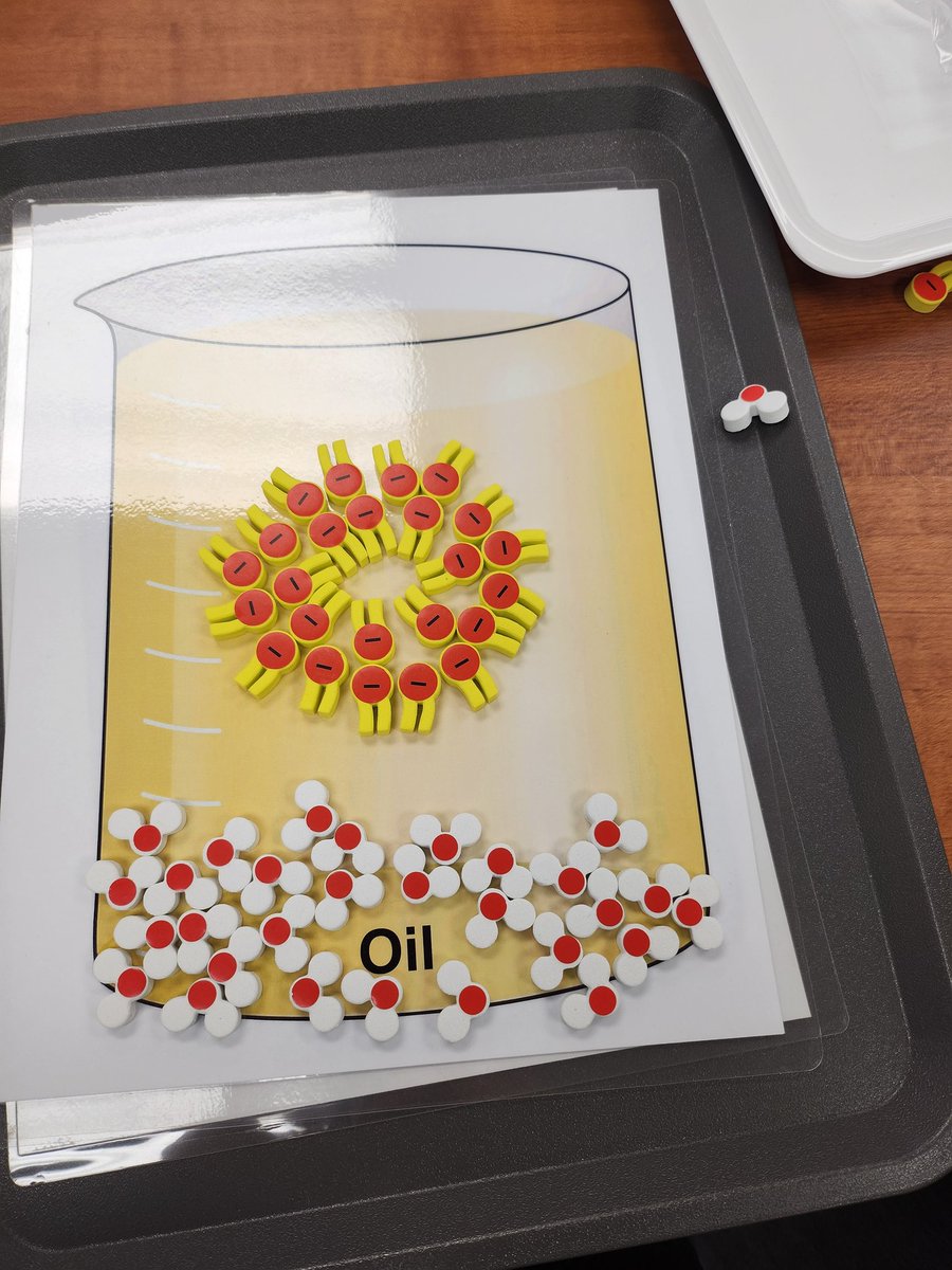 BV CAPS VetMed tweet media