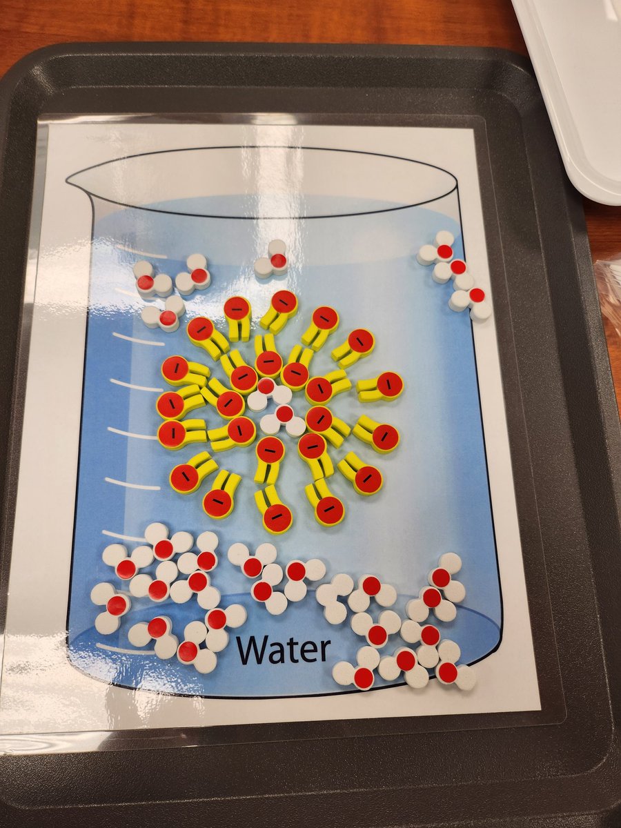 BV CAPS VetMed tweet media