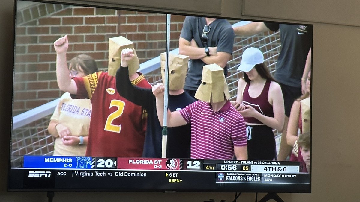 Seminoles fans