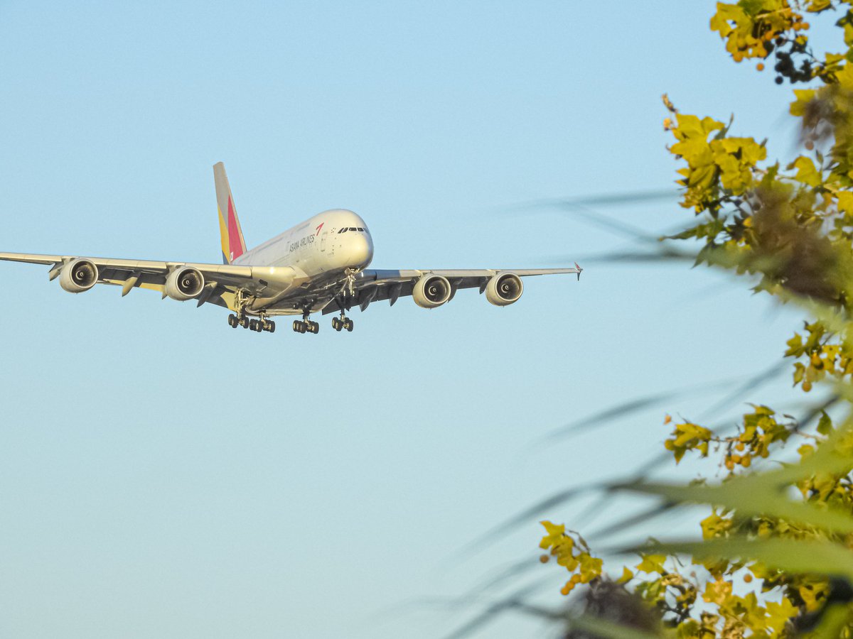 _.samuuu.7 tweet media