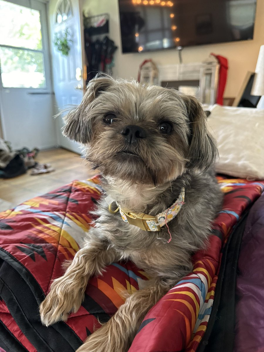 Jillian | Northeast Photographer | Jersey 📍 tweet media