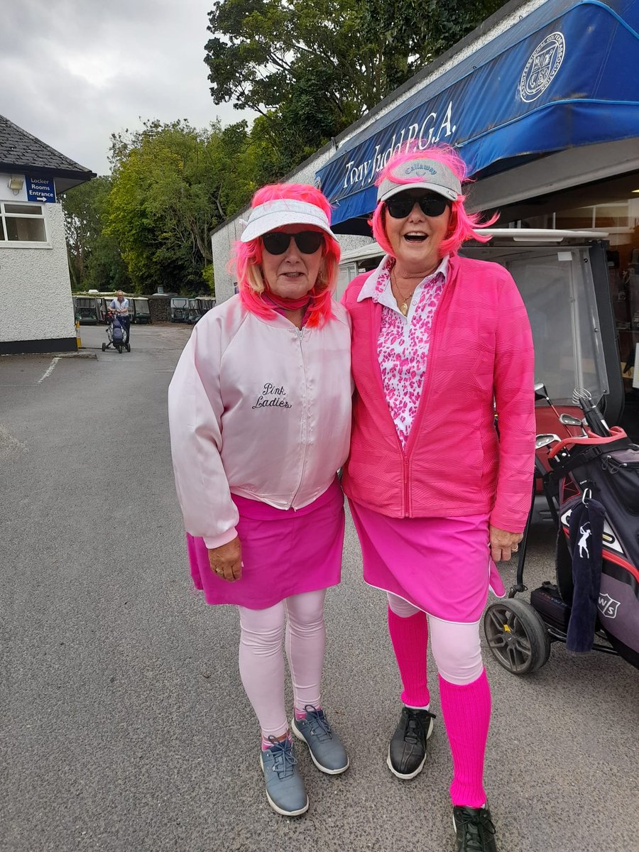 Pretty in pink at todays fundraiser, Nancy Noone and her sister Pauline.