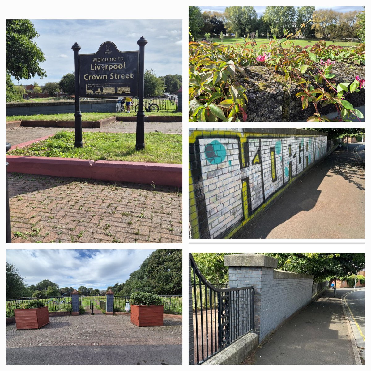 Litter Clear-Volunteer tweet media