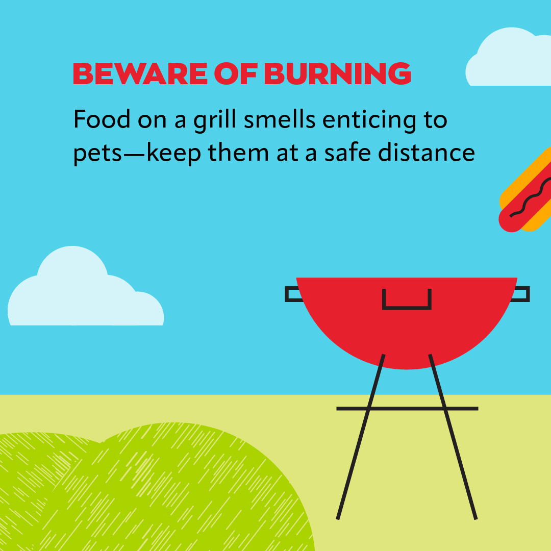 VEGERforpets's tweet image. Pets at a picnic—yay or no way? 🧺🍉🥏🌳 If you play it safe, everyone, including your pet, can have a great time. 🐶Unleash the ultimate picnic guide in our blog - your pet will thank you! 🐾 ow.ly/ts2H50SYyBi

#vegolution #pethospital #petsafety #picnic