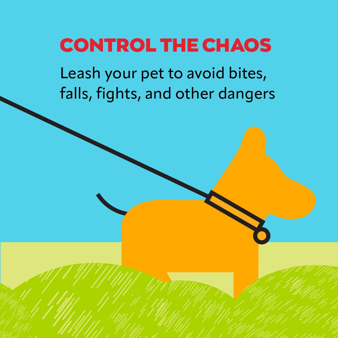 VEGERforpets's tweet image. Pets at a picnic—yay or no way? 🧺🍉🥏🌳 If you play it safe, everyone, including your pet, can have a great time. 🐶Unleash the ultimate picnic guide in our blog - your pet will thank you! 🐾 ow.ly/ts2H50SYyBi

#vegolution #pethospital #petsafety #picnic