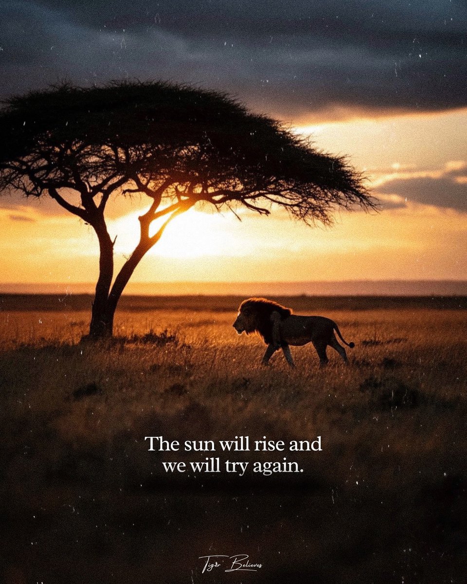 Mind Essentials (@mind_essentials) on Twitter photo 