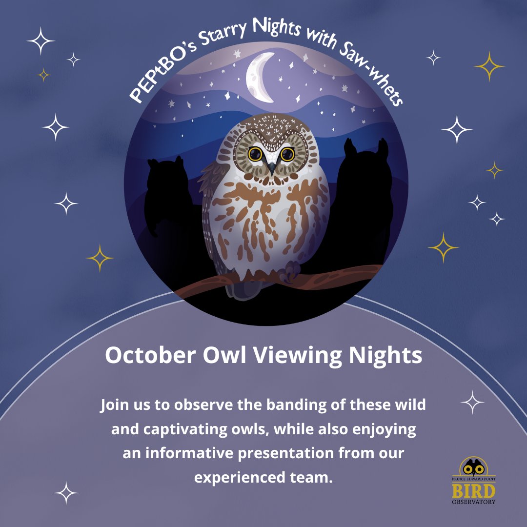 OfficialPEPtBO's tweet photo. To purchase tickets, please visit:
https://t.co/6AZVX9Ybbc
#PEPtBO #migrationMonitoring #NorthernSawWhetOwl #birders #owlViewing #natureEvents #birdConservation https://t.co/bnsLhwClx8