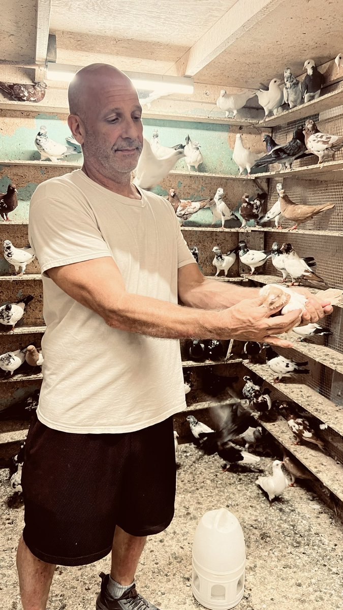 Zoe Sadokierski tweet media