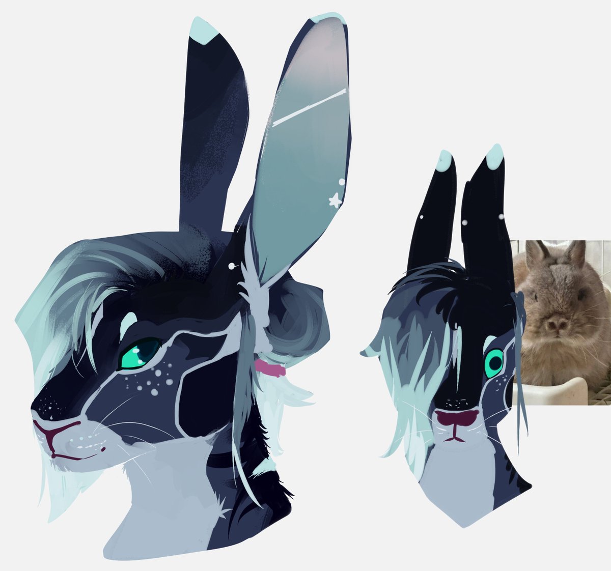 Wocky ✨ tweet media