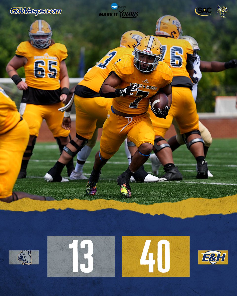 Emory & Henry Wasps tweet media