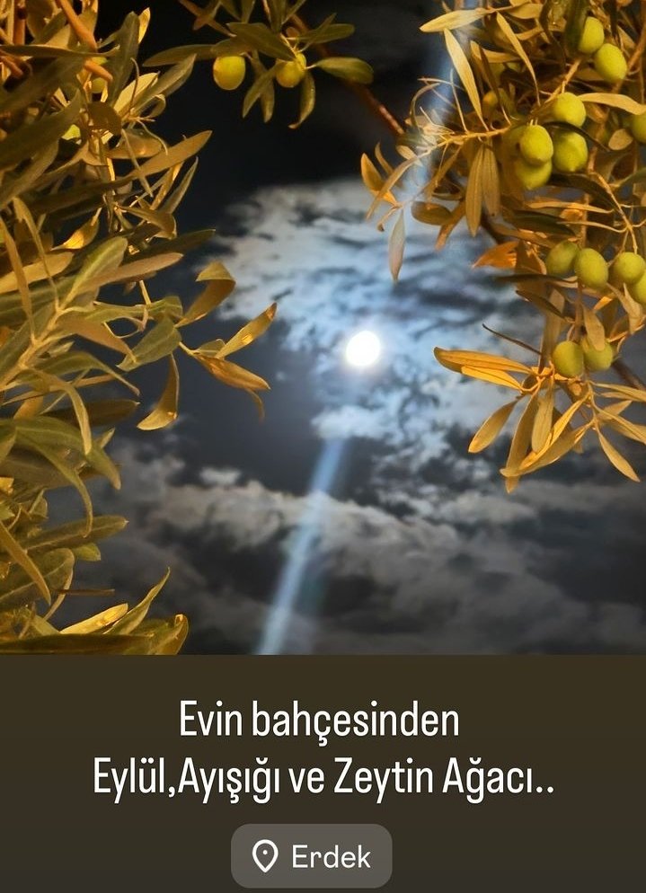 Hadi biraz cenneti tarif edeyim ne eksik?