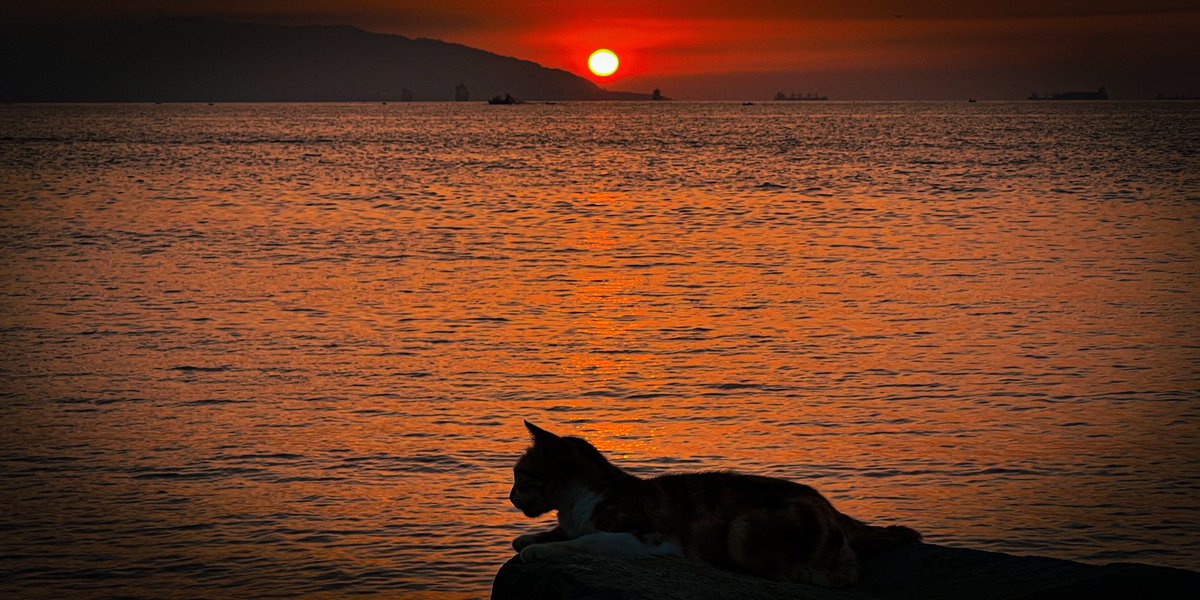 akr_tkn's tweet photo. sunsets in Algeria https://t.co/M5ElnIVLbE