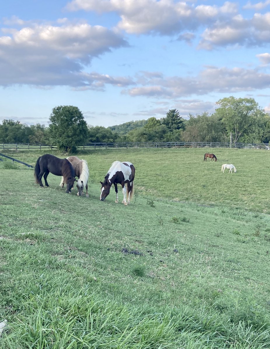 Grazing in Kentucky, by <a href="/ky_hippie/">e$Carrgo</a>
