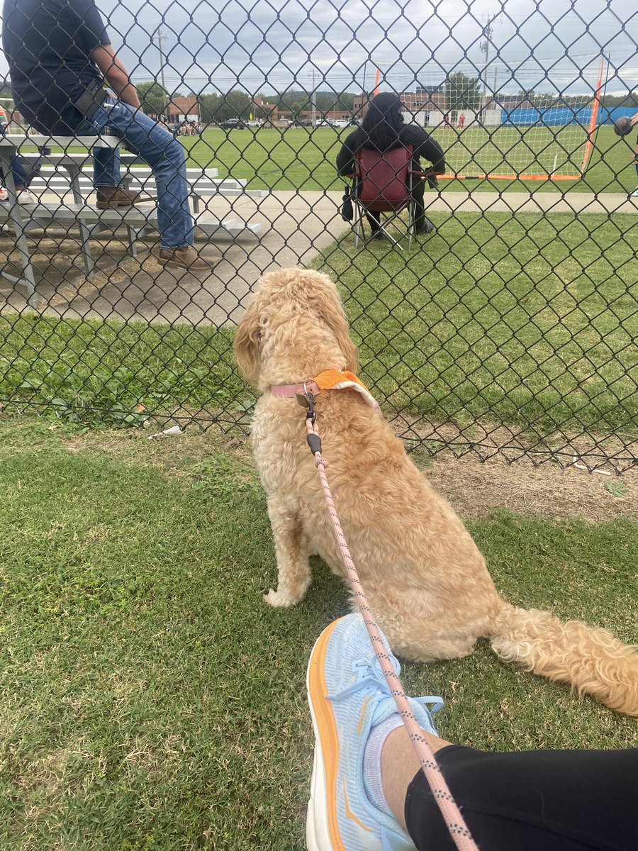 Mrs. Houchens (@houchensmrs) on Twitter photo Millie and I loved surprising these three precious students and watching them represent PES on the soccer field today, rain and all! Way to go girls! ❤️💛🦦 ⚽️🥅 <a href="/plainviewElem/">Plainview Elementary School</a> Millie and I loved surprising these three precious students and watching them represent PES on the soccer field today, rain and all! Way to go girls! ❤️💛🦦 ⚽️🥅 <a href="/plainviewElem/">Plainview Elementary School</a>