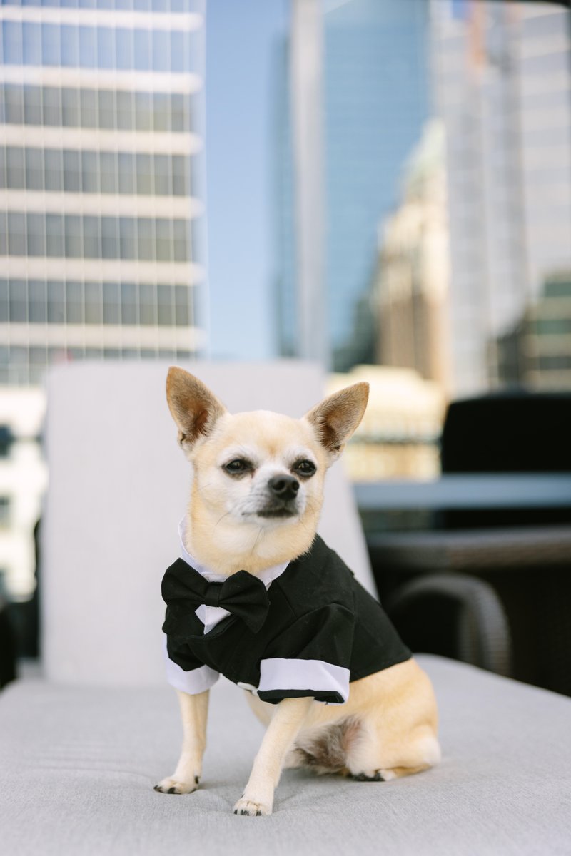 ARCdining's tweet image. Create lasting memories with a wedding at Fairmont Waterfront. Let us turn your special day into a cherished memory. spkl.io/6019fBNf5