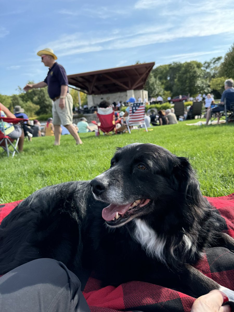 BeanQueen Gaddy tweet media