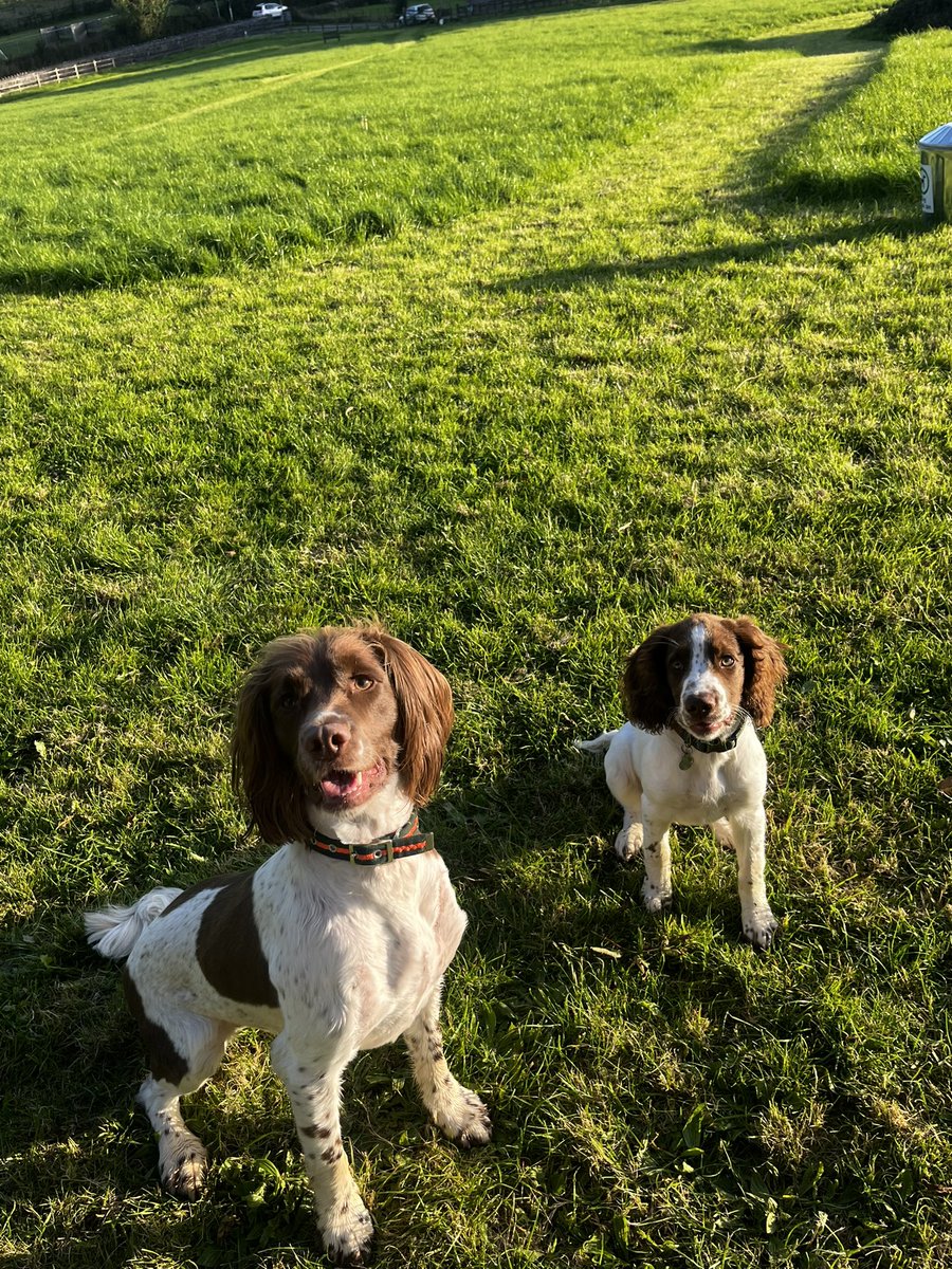 Samantha Turl 💙 tweet media