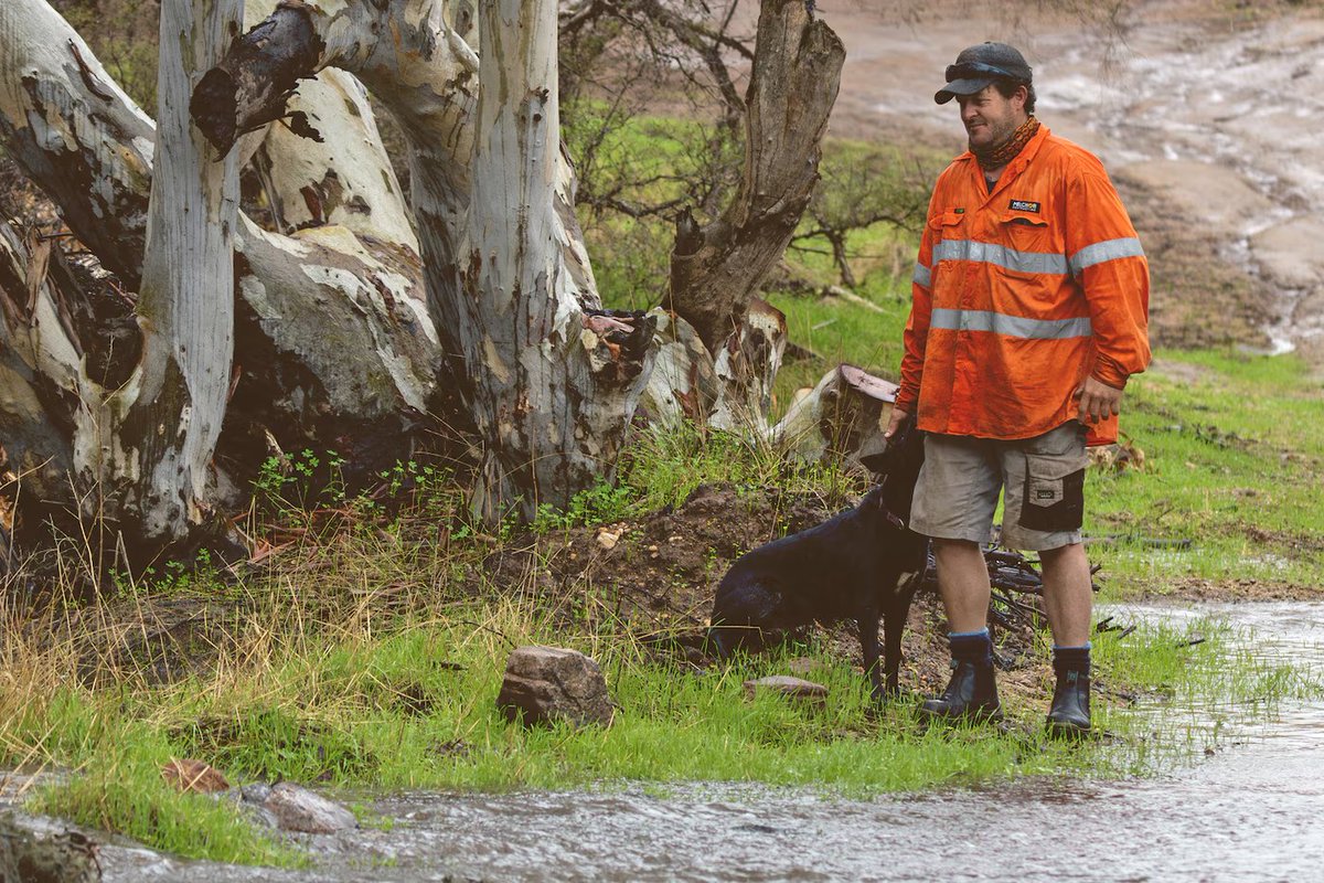 Ian Wright tweet media