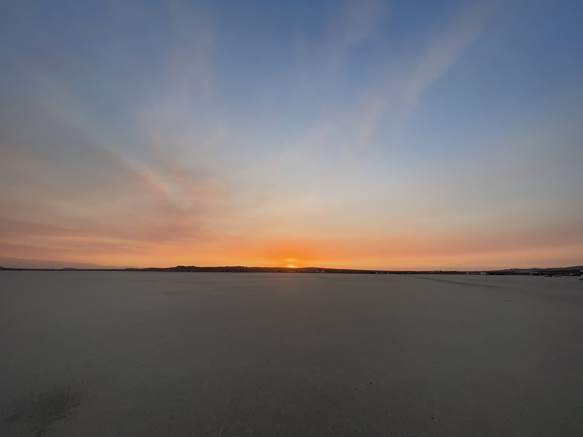 Hamburger🍔Dipshit tweet media