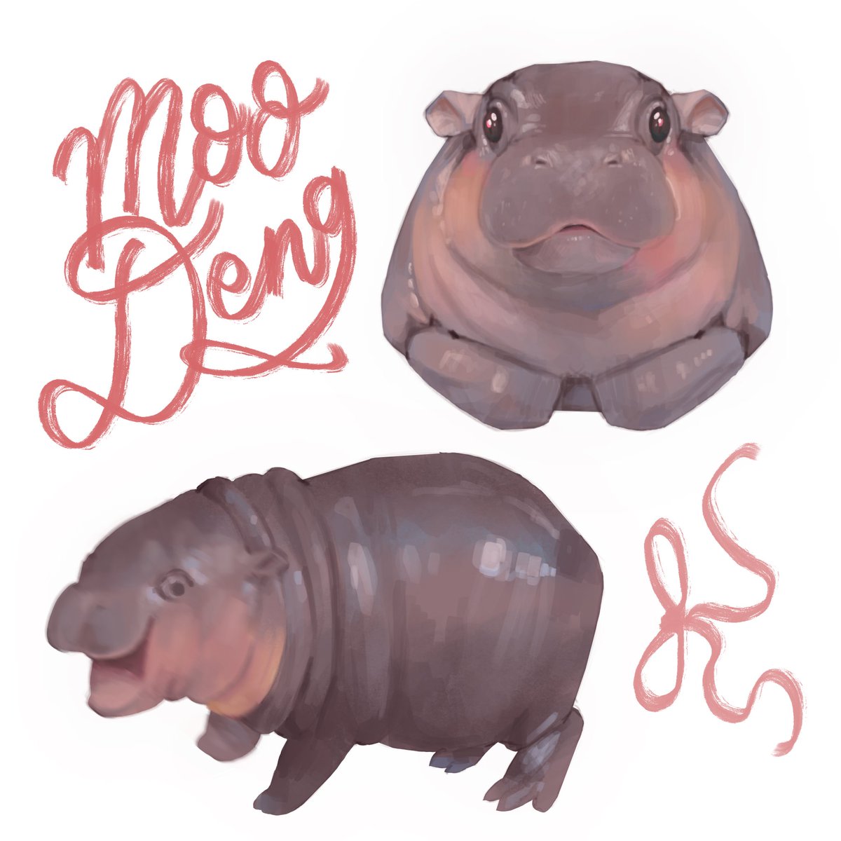 Moo Deng 🎀