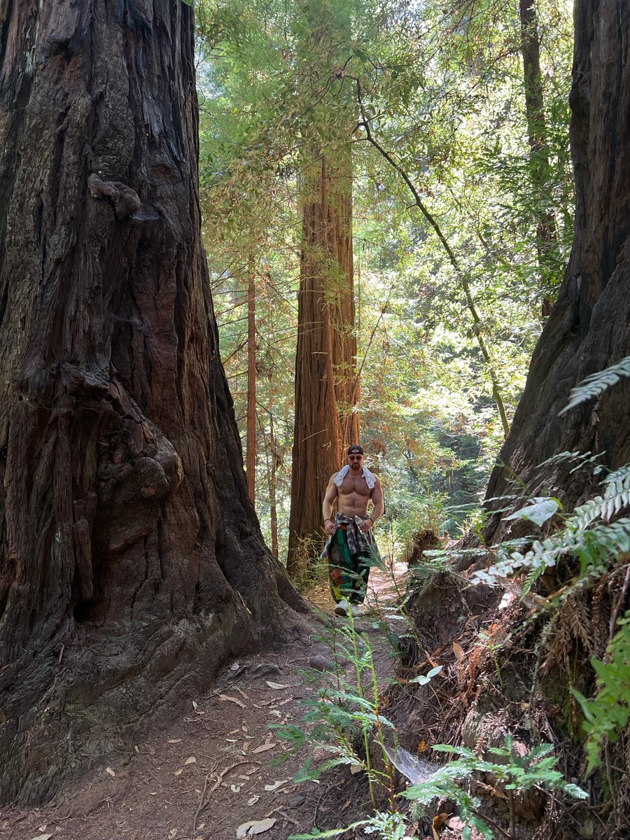 exploring the red woods