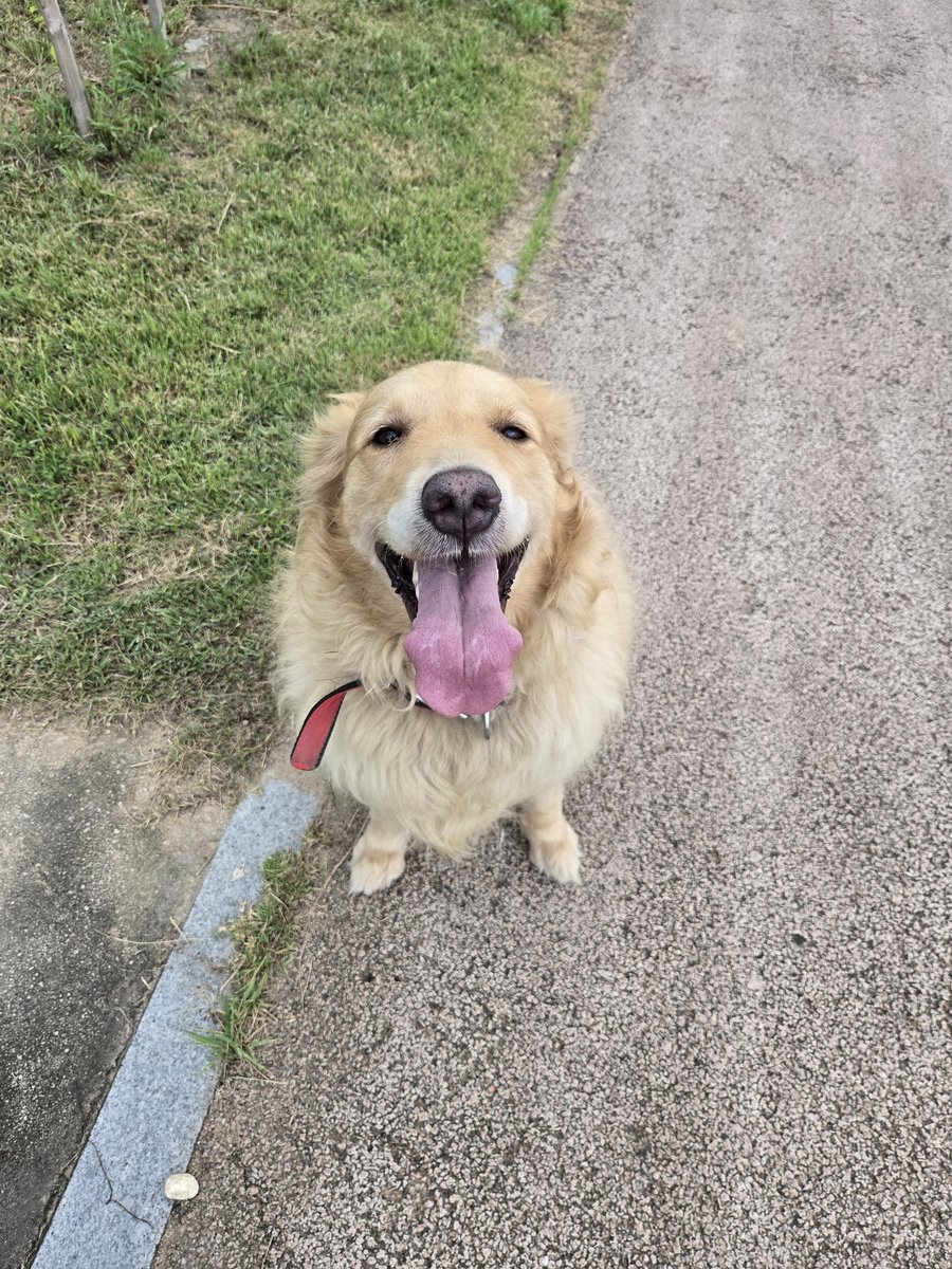 주점DB업자ꉝ【텔레그램 @MacauDB】ꏃ투자디비문의.kyc