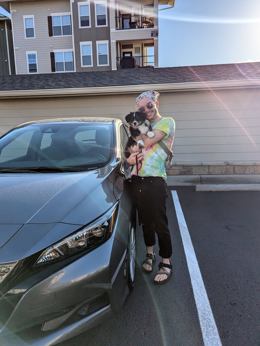 affaggoto's tweet photo. oh btw i got a nissan leaf and a puppy https://t.co/nK5BCaNHYR