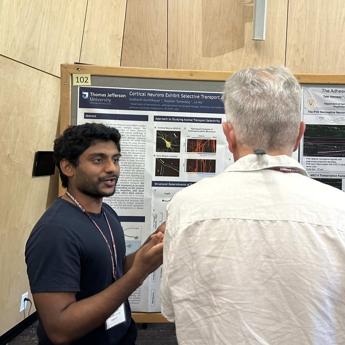 BranchingLab's tweet image. What an exciting #cshlneurocon conference @CSHL! Also exciting to see the participation of @JeffersonUniv students and faculty, with a huge crowd for @drosophilosophy.