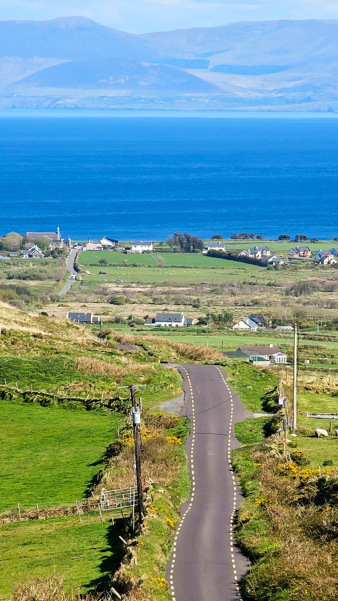 Emma McArdle | Ireland 🇮🇪 tweet media