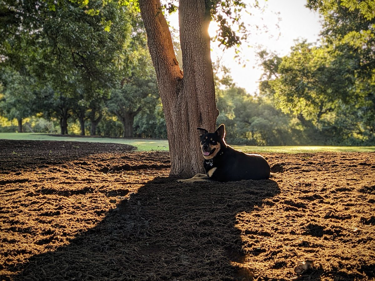 FTLRalph's tweet image. Happy Sunday
#unrequested #sticknodes