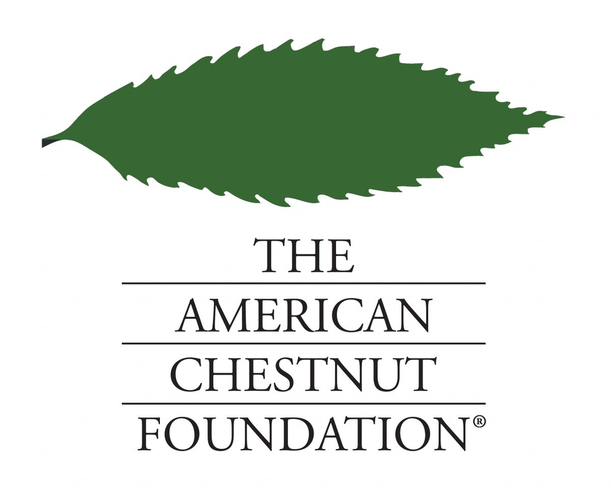 Mykl’s feed tweet media