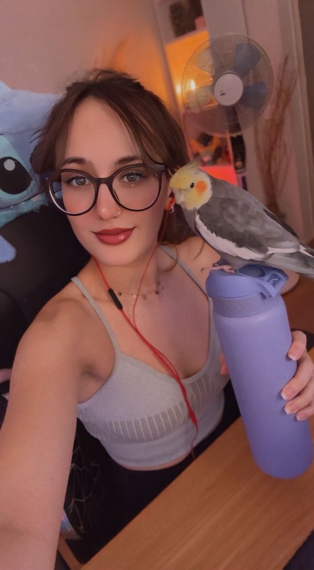 Pollito quiere stream, así que aquí estamos 🐥